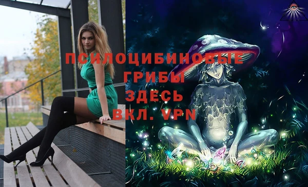 сатива Аркадак
