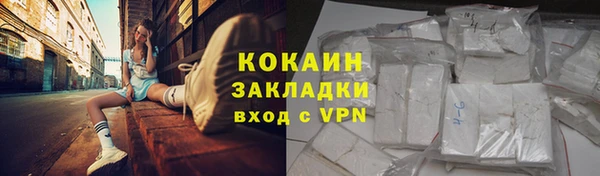 сатива Аркадак