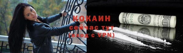сатива Аркадак